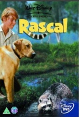 Rascal