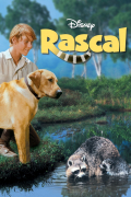 Película Rascal