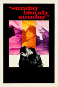 Película Sunday Bloody Sunday