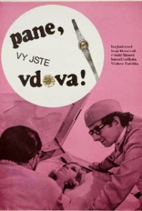 Señor, usted es viuda