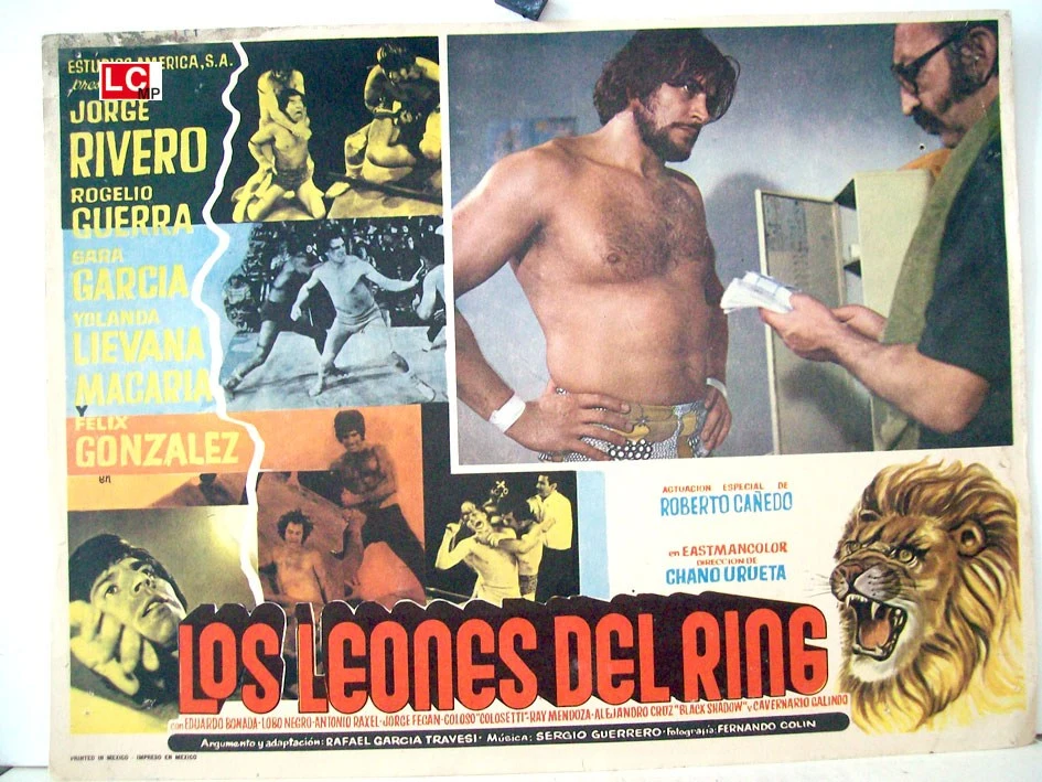 Los leones del ring