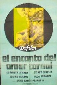 El encanto del amor prohibido