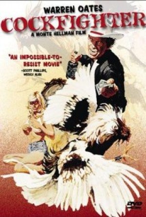 Gallos de pelea