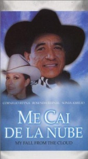 Me caí de la nube