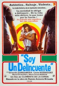 Soy un delincuente