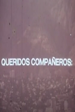 Queridos compañeros