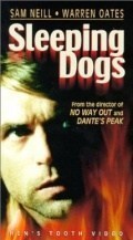 Sleeping Dogs