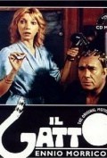 Il gatto