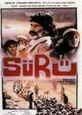 Sürü