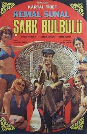 Sark bülbülü
