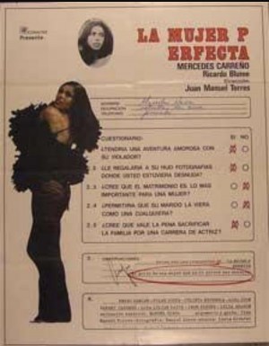 La mujer perfecta