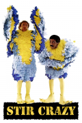 Película Stir Crazy