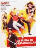 Película The Fury of the Karate Experts