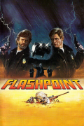 Película Flashpoint