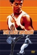 The Last Dragon