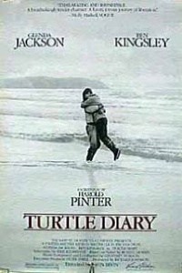 El diario de la tortuga