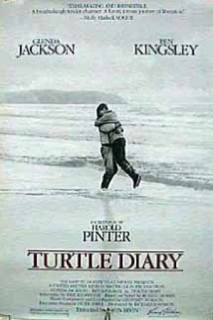 El diario de la tortuga