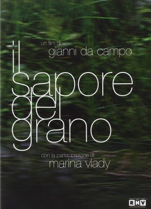 Il sapore del grano
