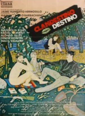 Clandestino destino