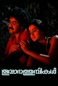 Película Thoovanathumbikal