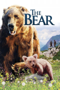 Película The Bear