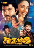 Película Tezaab