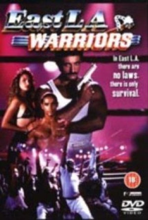 Samurai Warriors