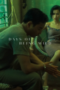 Película Days of Being Wild