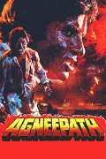 Película Agneepath