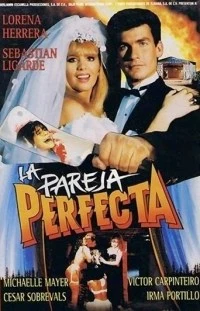 La pareja perfecta