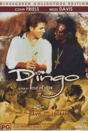 Dingo