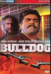 Bulldog Bulldog