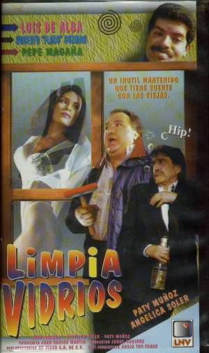 El limpiavidrios