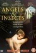 Ángeles & insectos