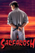 Película Sarfarosh