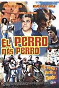 El perro más perro