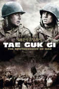 Película Taegukgi hwinalrimyeo