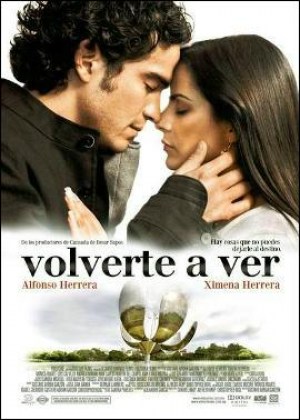 Volverte a ver