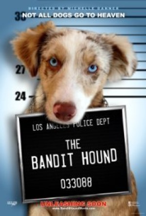 The Bandit Hound