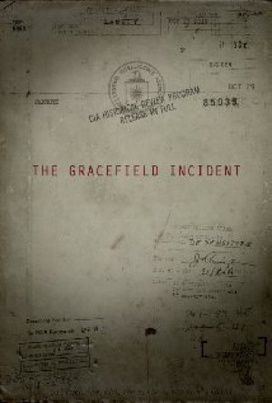 The Gracefield Incident