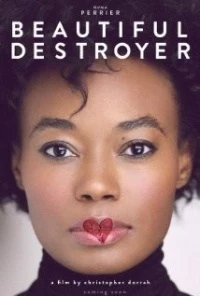 Beautiful Destroyer