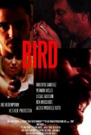 Bird Bird