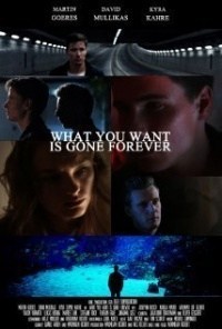 What You Want Is Gone Forever