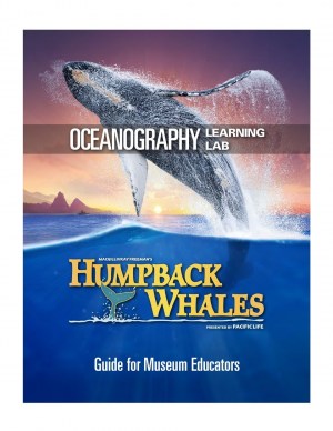 Humpback Whales