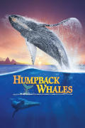 Película Humpback Whales