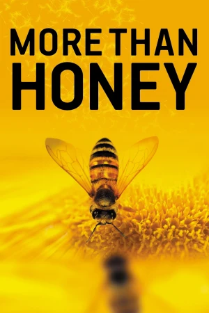 Mucho más que miel: More Than Honey