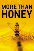 Película More Than Honey