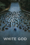 Película Fehér isten