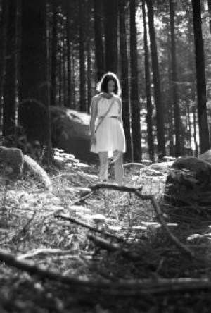 El bosque de las almas perdidas
