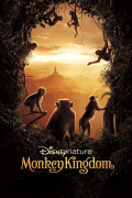 Película Monkey Kingdom